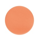 DX3030 Image 12
