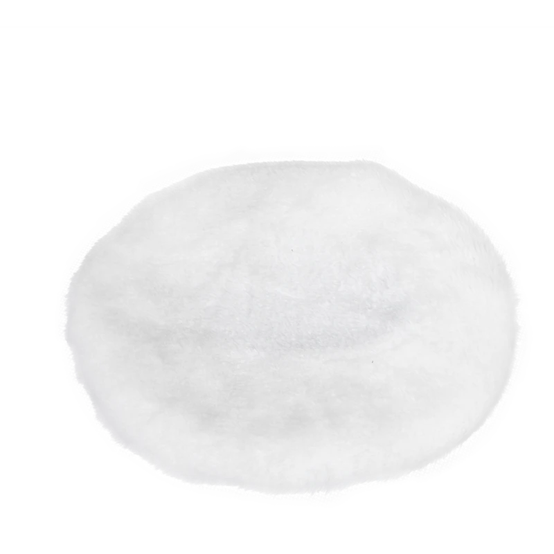 WA4250 Image 7