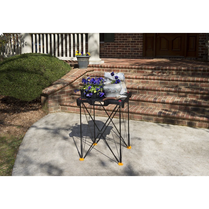 WX066 Image 63
