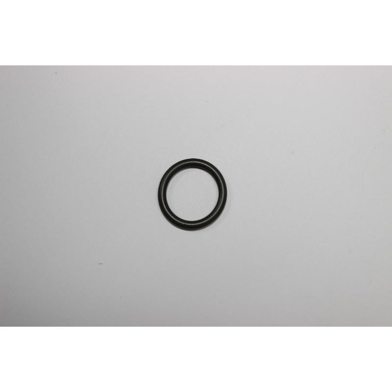 O Ring 19 KUX15P PN34