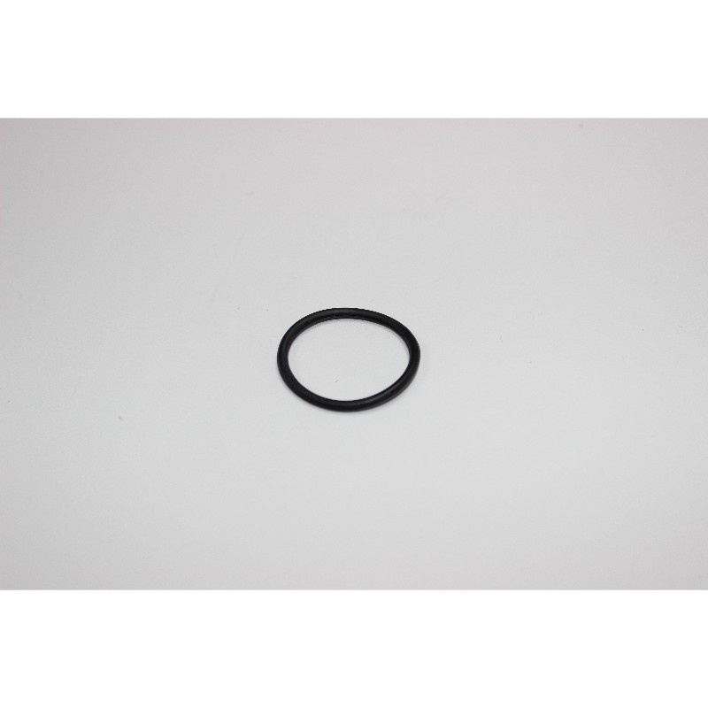O Ring 24X2 DX27 PN10