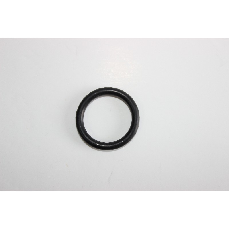O Ring KUB30.2 PN38