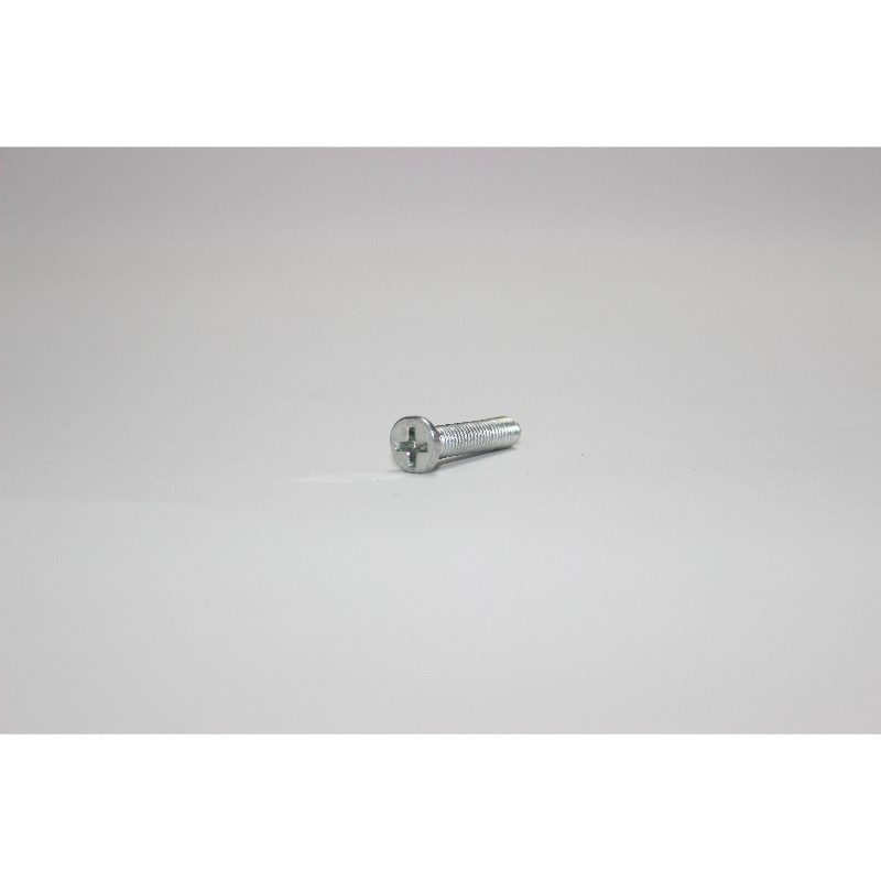 Screw 25mm-L WX317.1 PN1