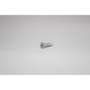 Screw 25mm-L WX317.1 PN1